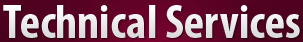 DSM Technical Services