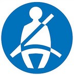 Business Continuity and Seat Belt Safety - an analogy 